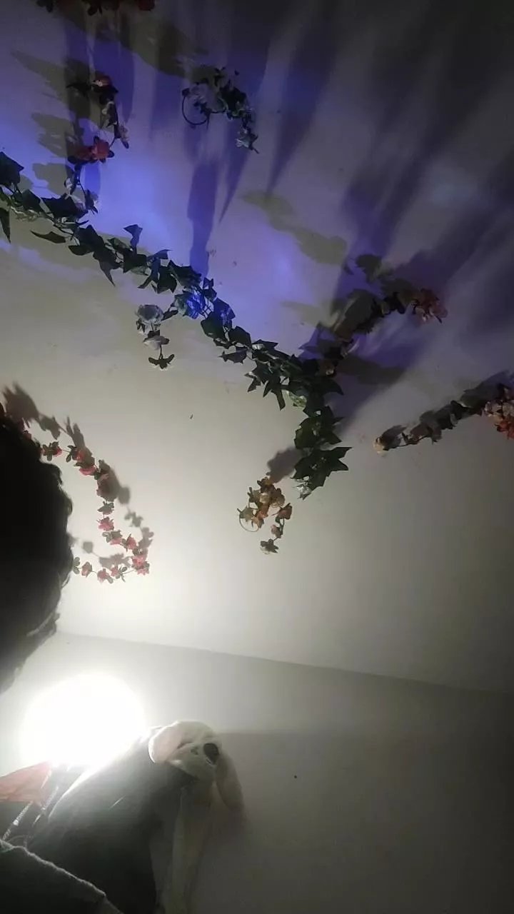 Offline Draken_Cherry on Cam4