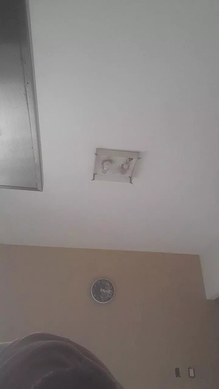 Offline fernando3376 on Cam4