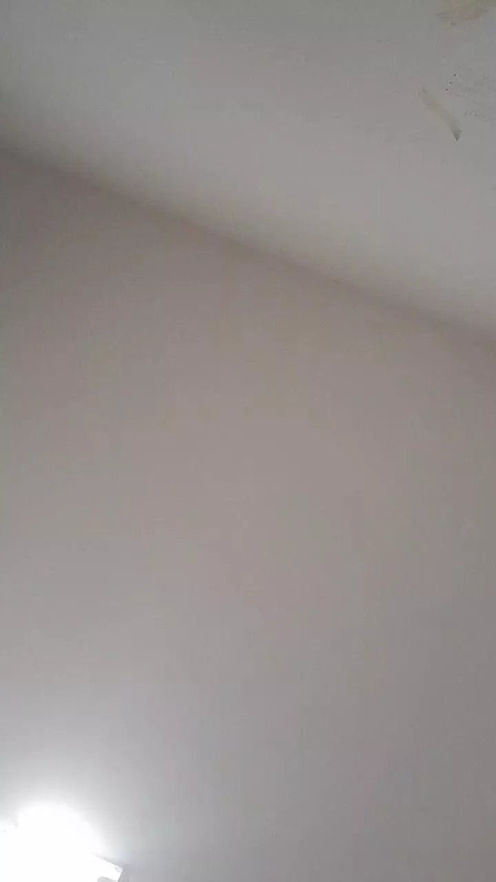 Offline fernando3376 on Cam4