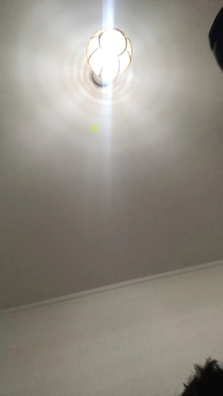 Offline marcelsexfun on Cam4