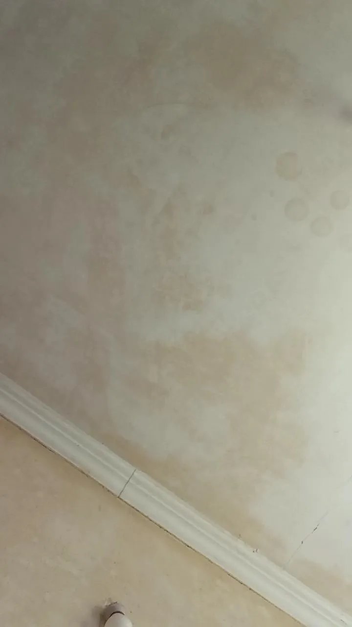 Offline Trolls37 on Cam4