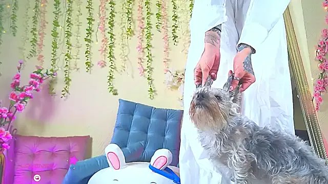 Freechat -NOBU- on StripChat